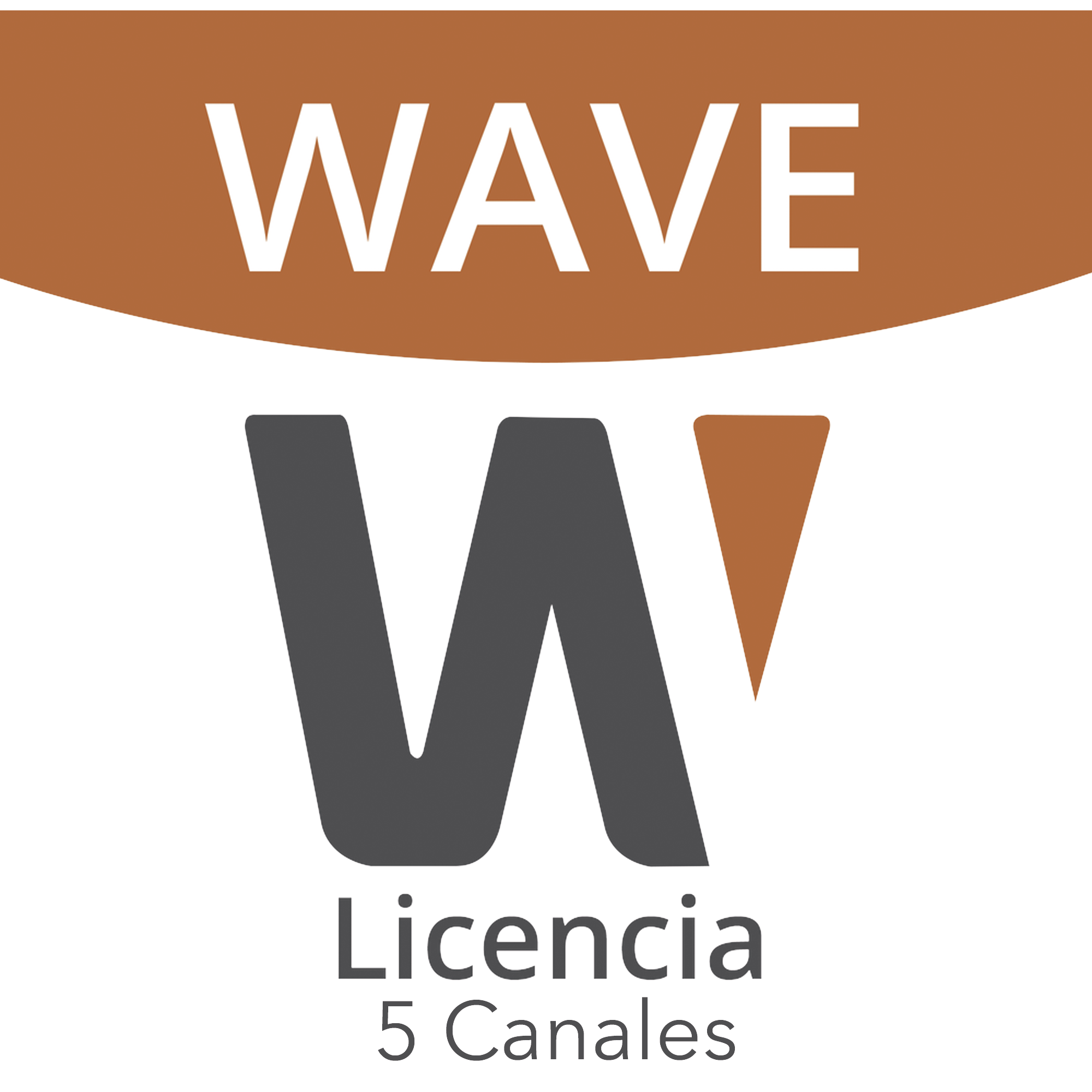 Licencia de 5 Canales de Wisenet Wave Profesional