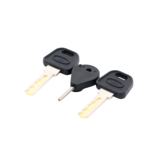 Llave de Puerta de Estación de Panico DS-PEA3M-21 / DS-PEA3M-21Hï»¿ (Repuesto)