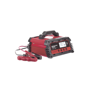 Cargador de Bater??as / 12 o 24 Vcc / hasta 250 Ah / 25 A / Display LCD